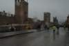 dsc_0229_small.jpg
