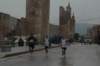dsc_0237_small.jpg