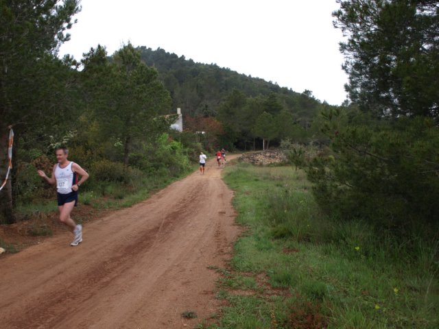p5010676.jpg