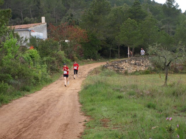 p5010678.jpg