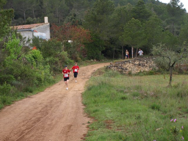 p5010679.jpg