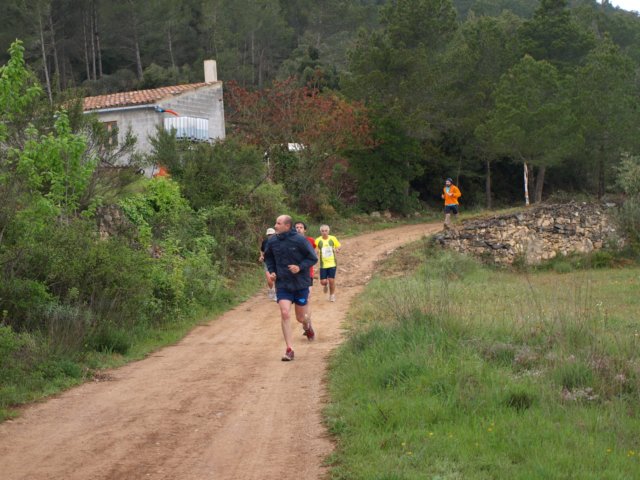 p5010686.jpg