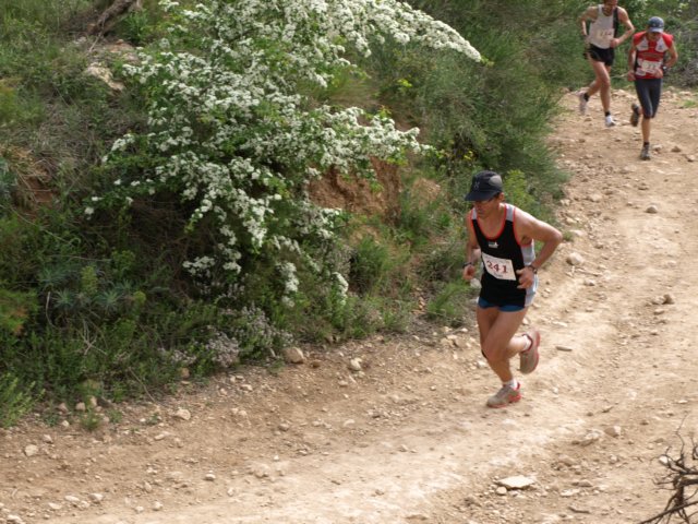 p5012544.jpg