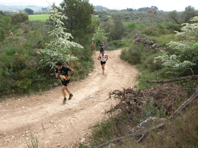 p5012565.jpg