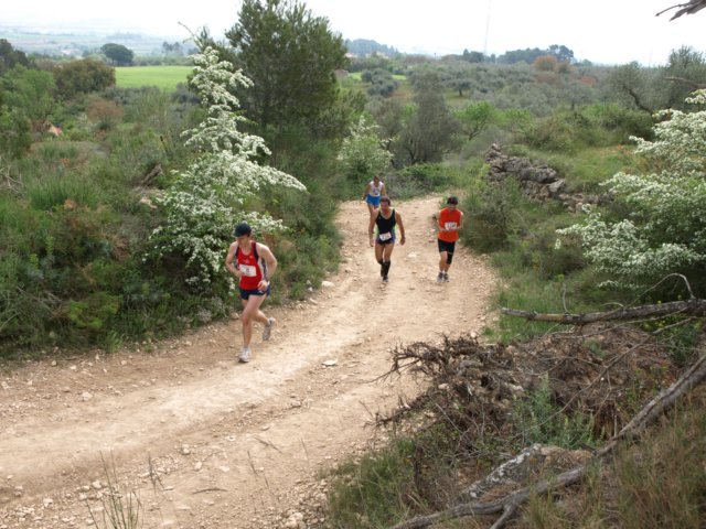 p5012567.jpg
