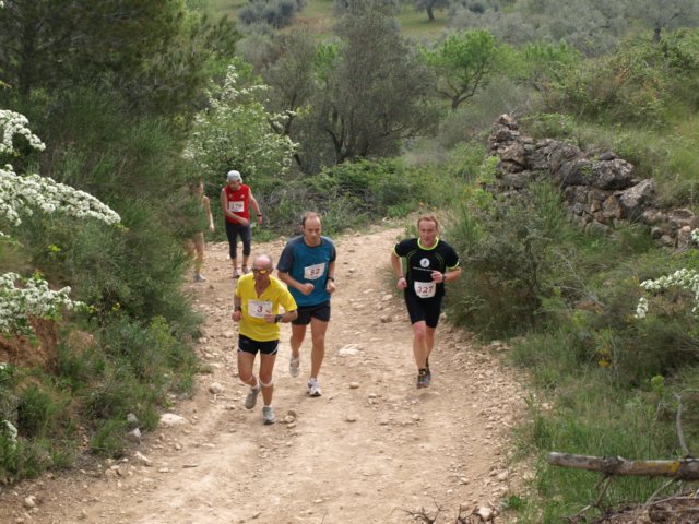 p5012570.jpg