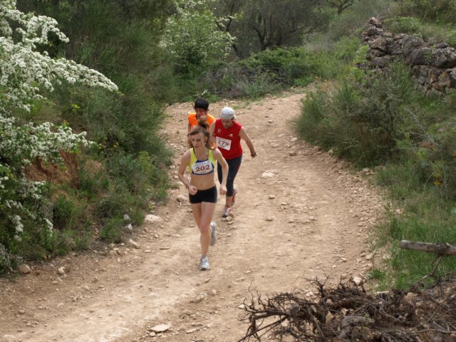 p5012571.jpg