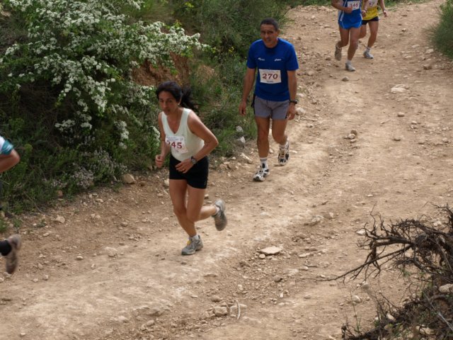 p5012573.jpg