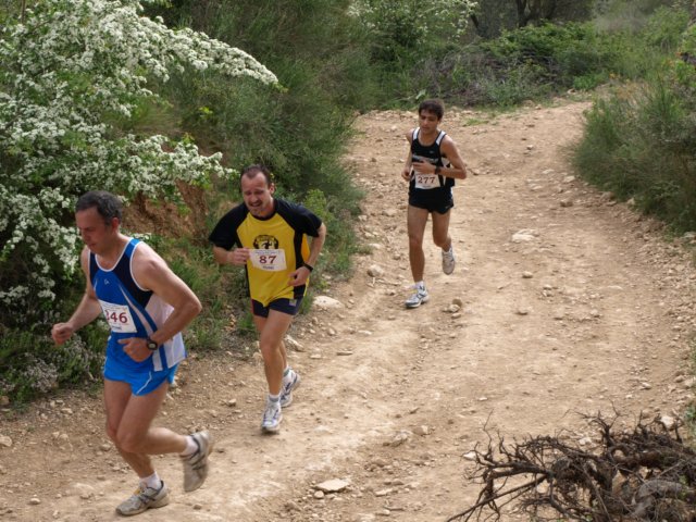p5012574.jpg
