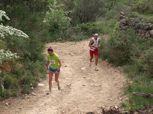 p5012576.jpg
