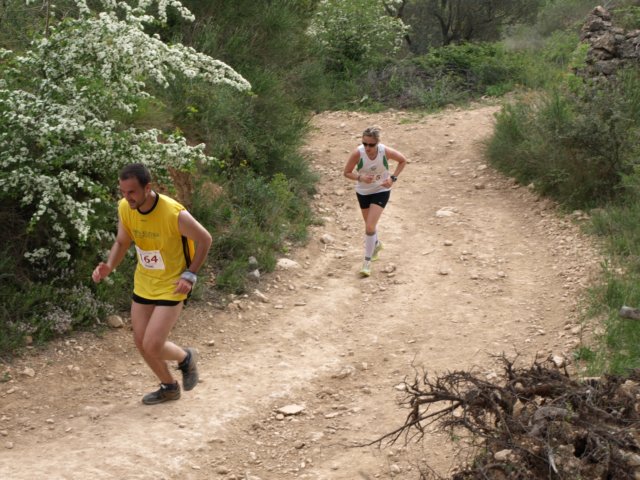 p5012588.jpg