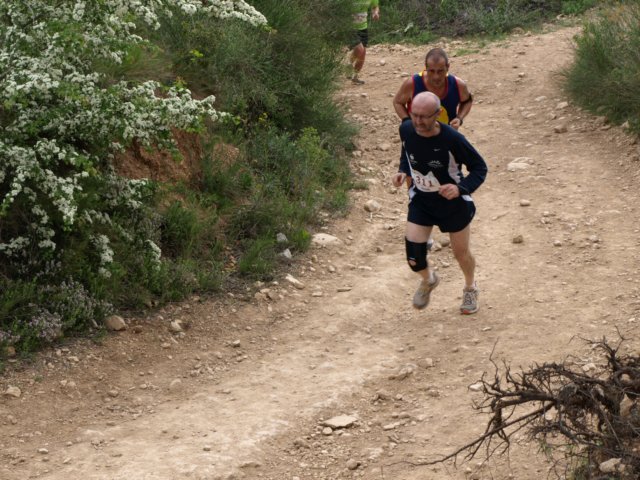 p5012599.jpg