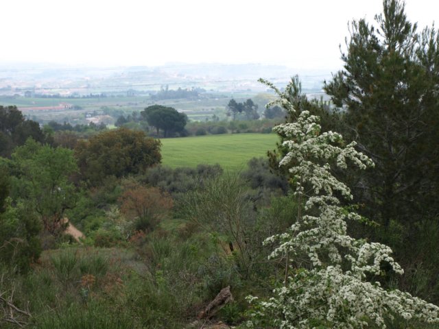 p5012622.jpg
