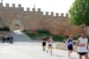 dsc_0056v1_small.jpg