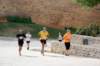 dsc_0092v1_small.jpg