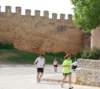 dsc_0104v1_small.jpg