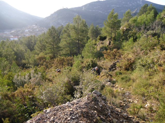 cimg0202.jpg