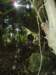 cimg0232_small.jpg
