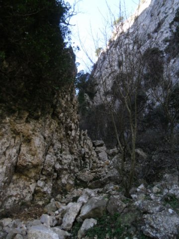 cimg0237.jpg
