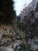 cimg0237_small.jpg