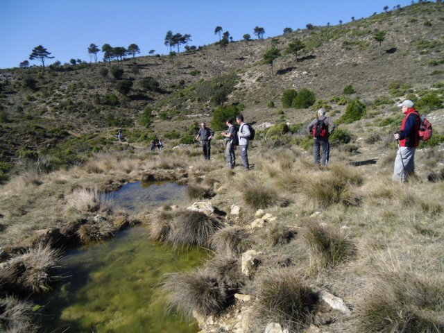 cimg0255.jpg