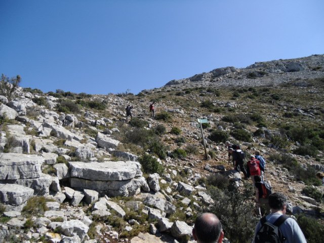 cimg0264.jpg