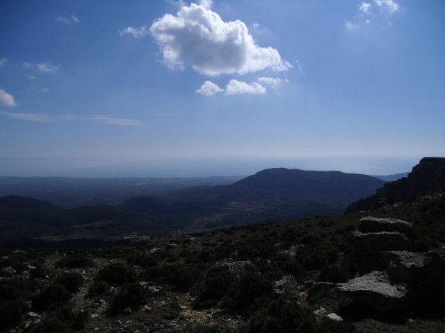 cimg0271.jpg