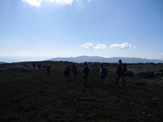cimg0288.jpg