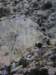 cimg0295_small.jpg