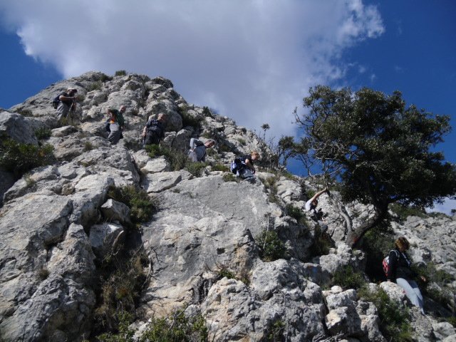 cimg0300.jpg