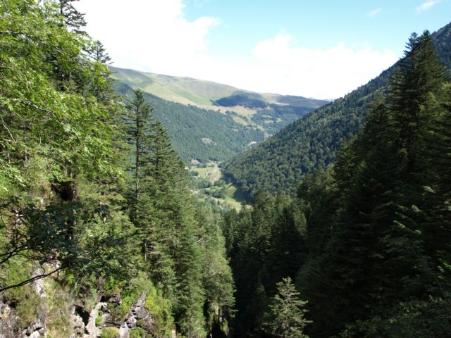 p8283134.jpg