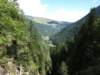 p8283134_small.jpg