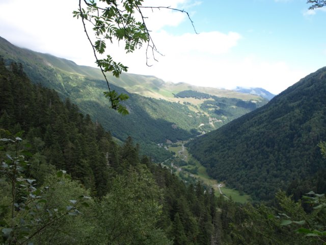 p8283148.jpg