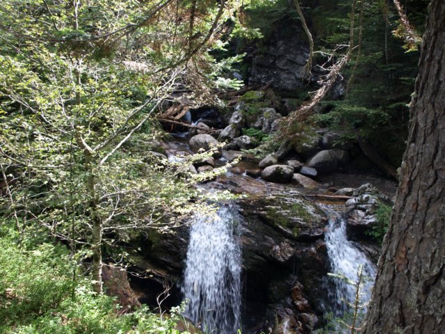 p8283150.jpg