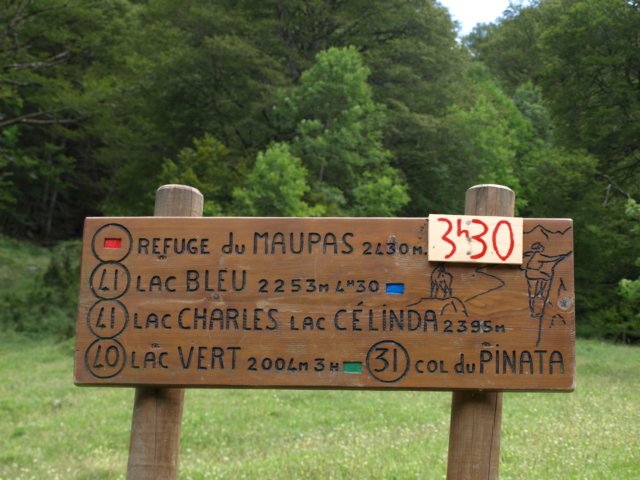p8283153.jpg