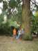 p8283155_small.jpg