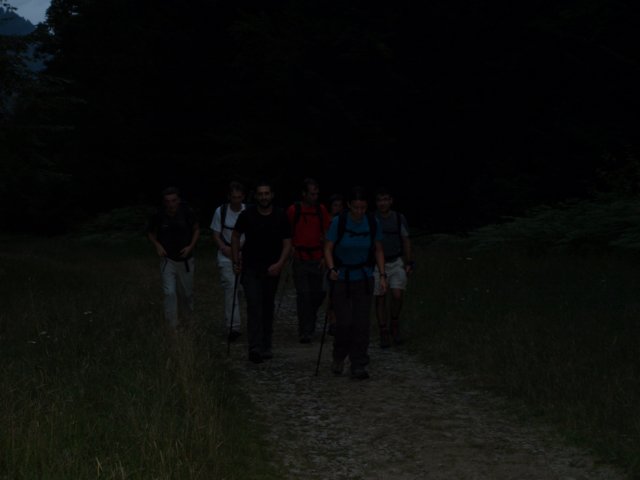 p8293166.jpg