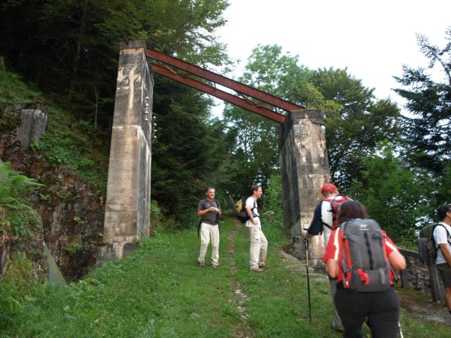 p8293174.jpg