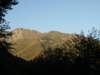 p8293180_small.jpg