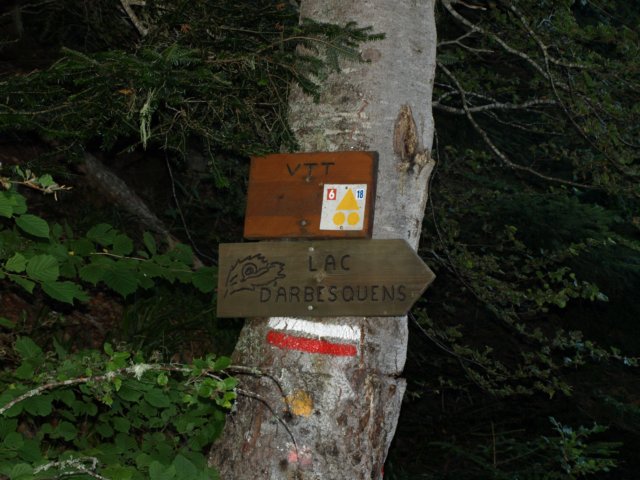 p8293182.jpg