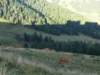 p8293186_small.jpg