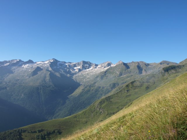p8293200.jpg