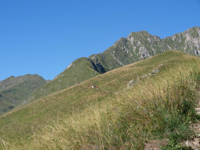p8293201.jpg