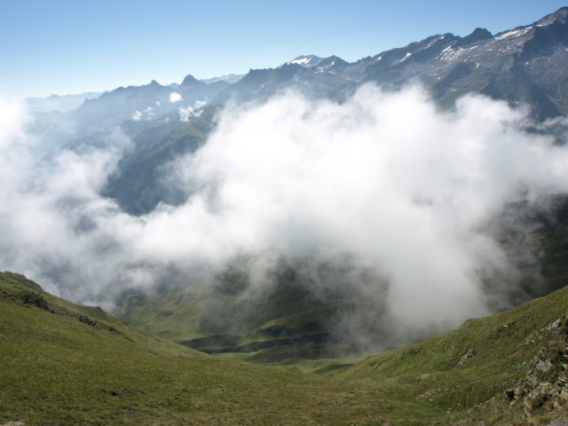 p8293224.jpg