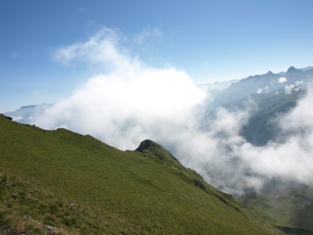 p8293225.jpg