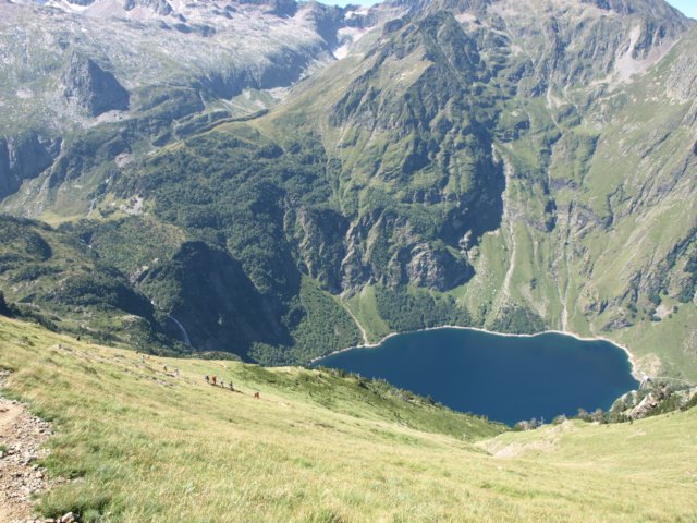 p8293236.jpg