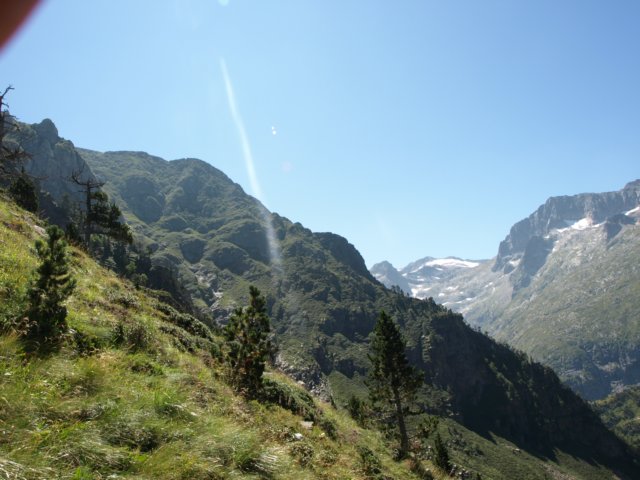 p8293241.jpg