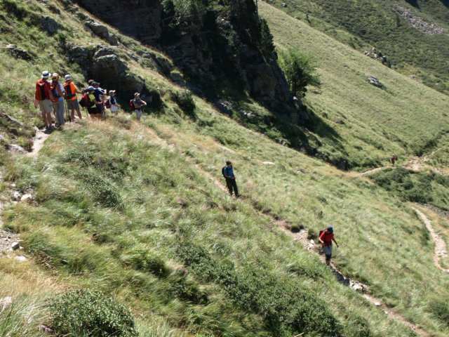 p8293245.jpg