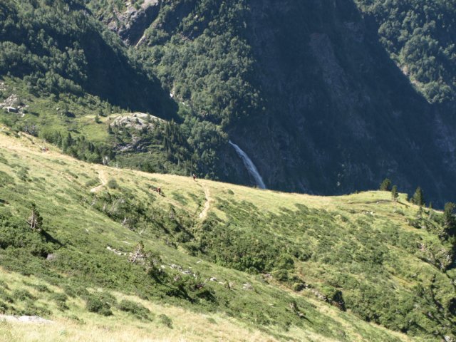 p8293247.jpg