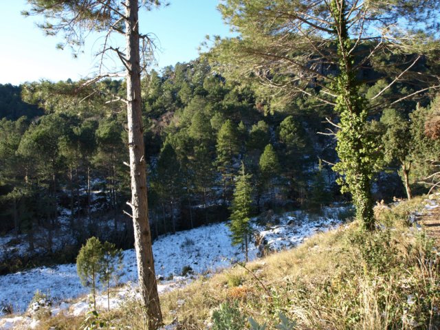 pc202137.jpg